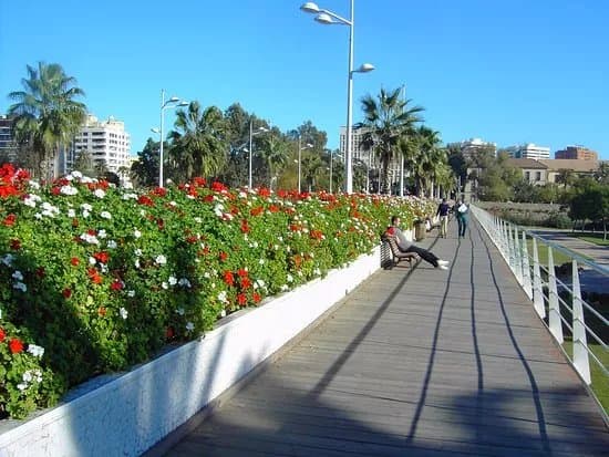 Pont de les Flors