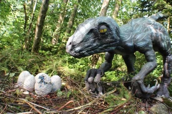 Dino Park Bled