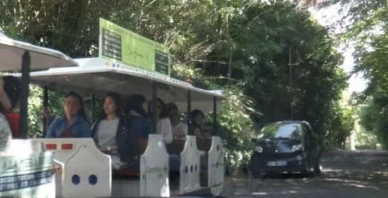 Le Petit Train Touristique