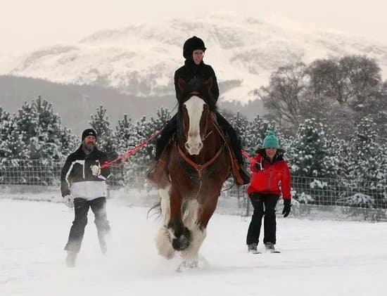 Highland Horse Fun Kingussie