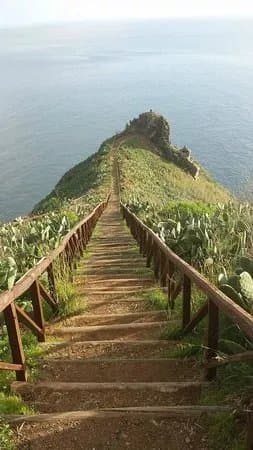 Madeira Island Tours