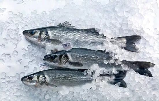 Fonda Fish Farm
