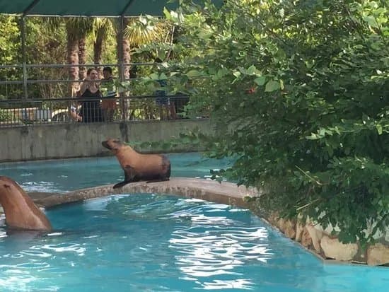 Parco Zoo Punta Verde