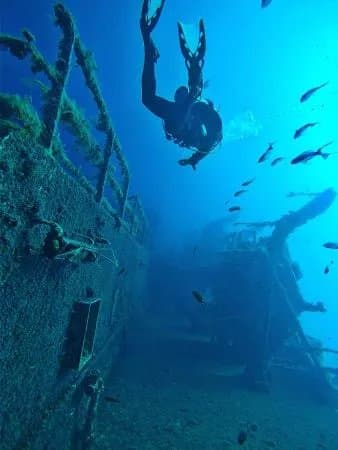 SunFish Divers