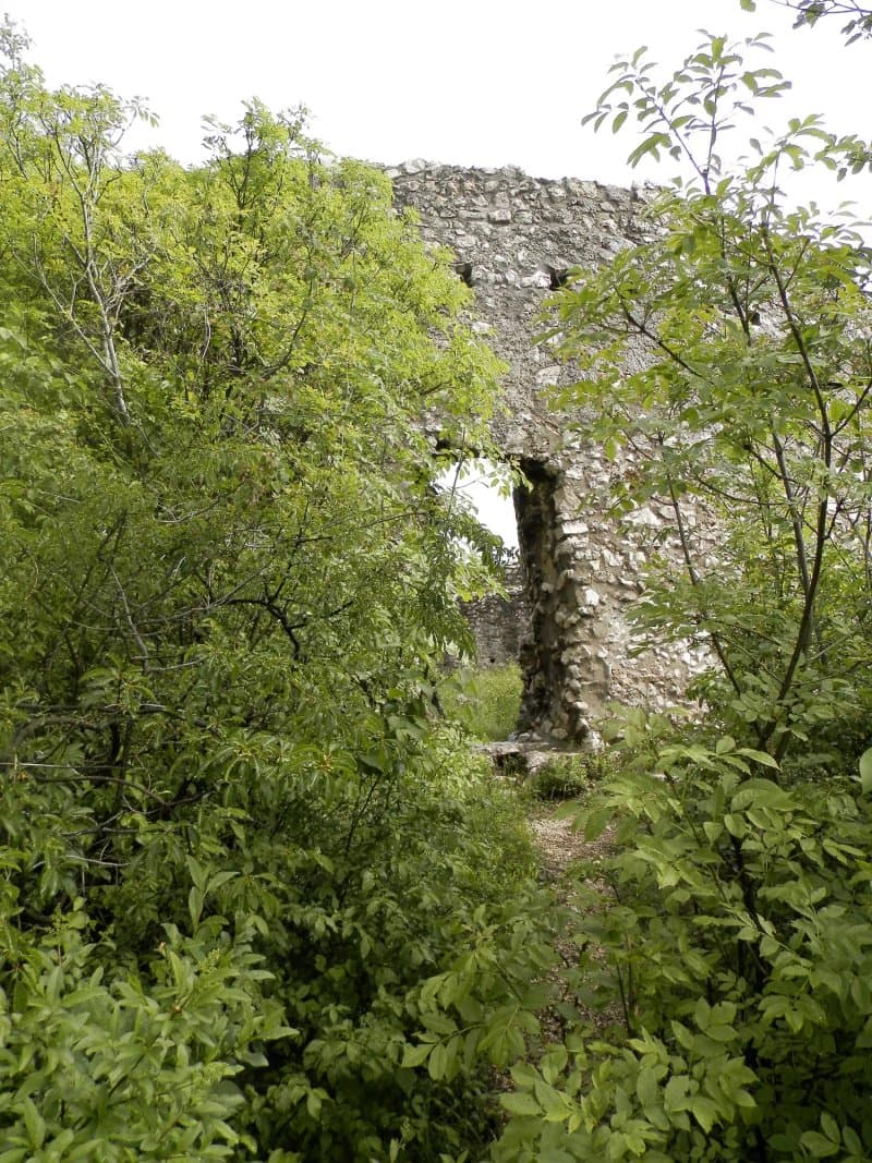 Turnul feudal Crivadia