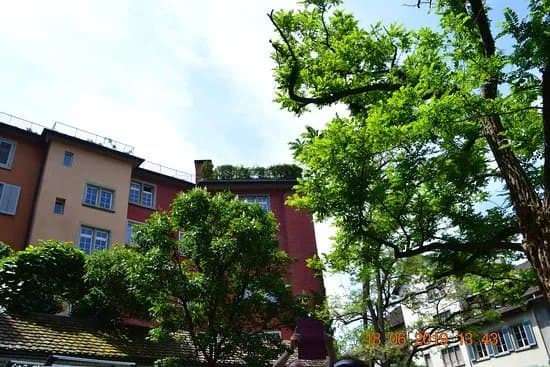 Lenin Apartment Zurich