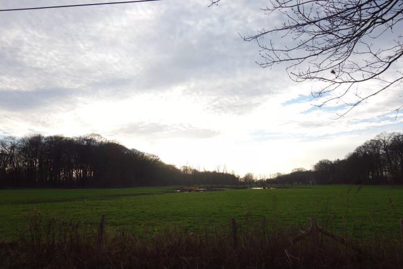 De Gulke Putten
