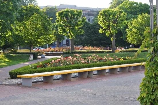 Rose Square (Rozu laukums)