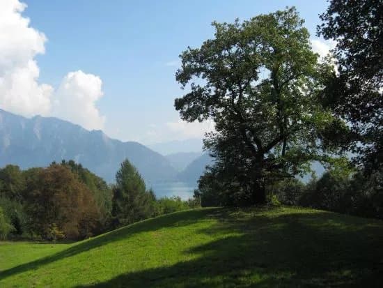 Edelkastanienwald und Waldlehrpfad