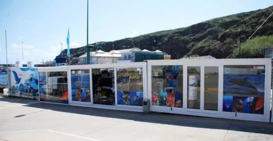 Mantamaria Dive Center Azores