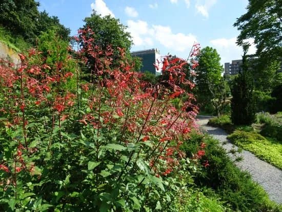 Utrecht University Botanic Gardens