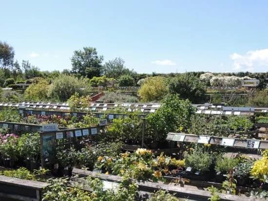 The National Herb Centre