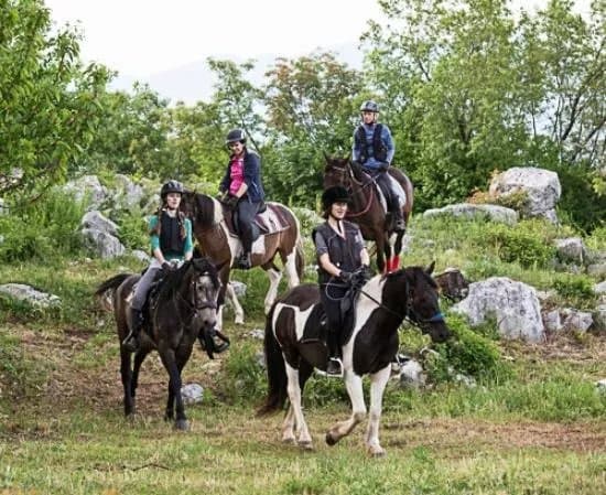 Mountain Riders