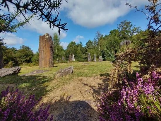 Menhirs De Monteneuf