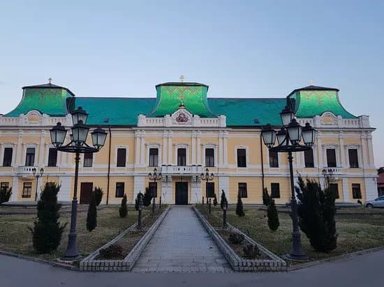 Vladicanski dvor