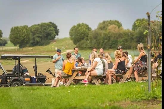 Brut Wines & Tours