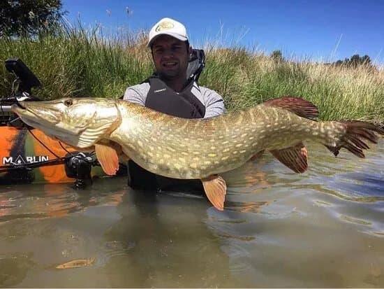 Marlin Kayak