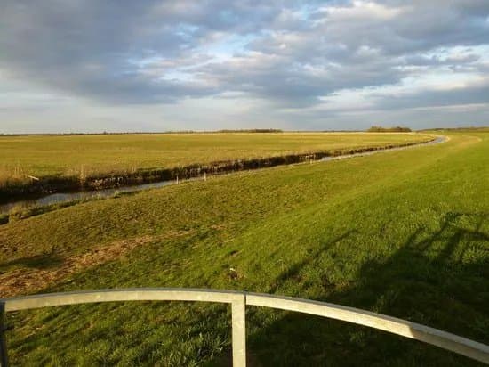Nene Washes
