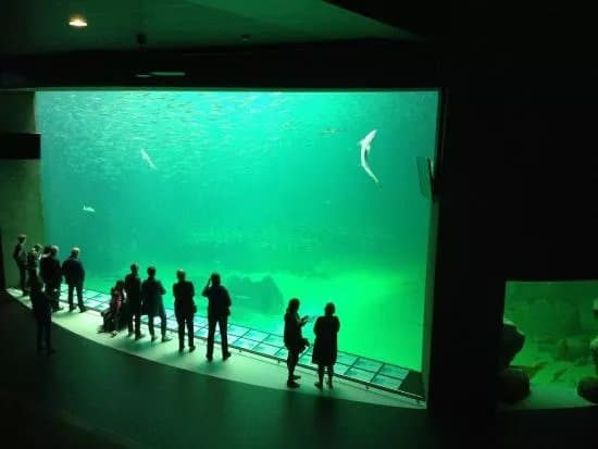 Nordsoen Oceanarium