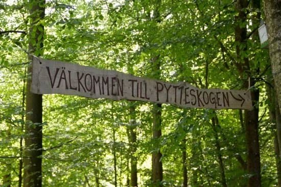 Pytteskogen