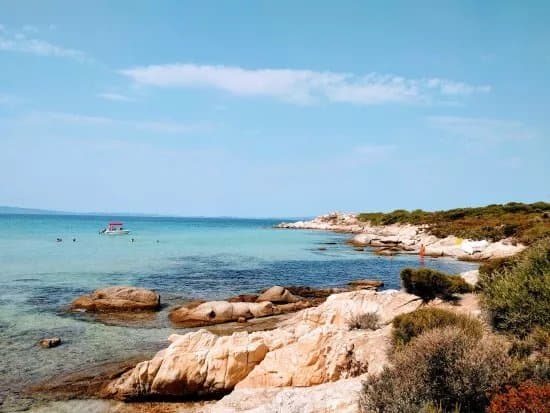 Karydi