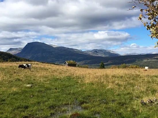 Round Trip of Tisleifjorden Golsfjellet