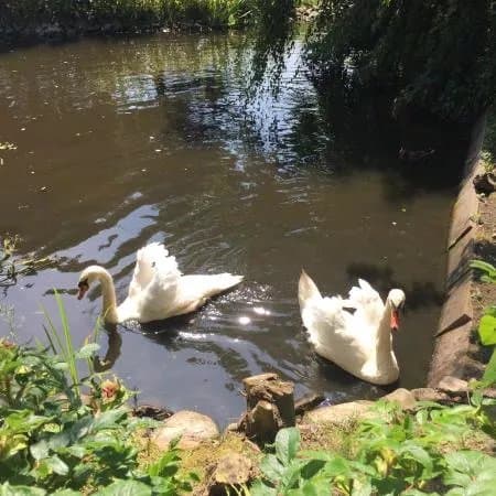 Tierpark Tinnum
