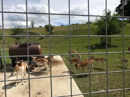 Ferme De La Fondation St-barthelemy