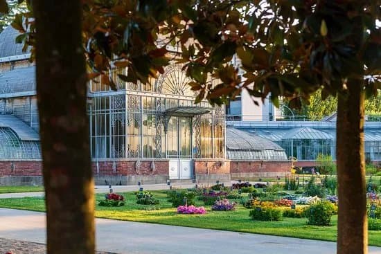 Jardin des Plantes