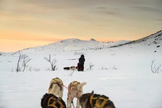 Active Tromso