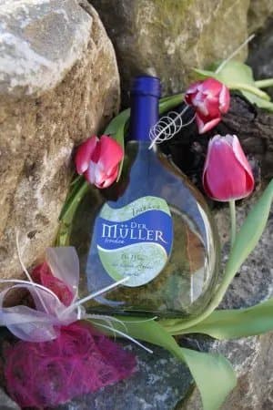 Weingut Lother