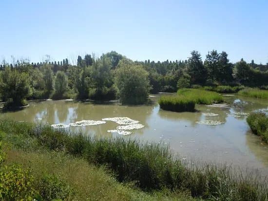 Parc du Sausset
