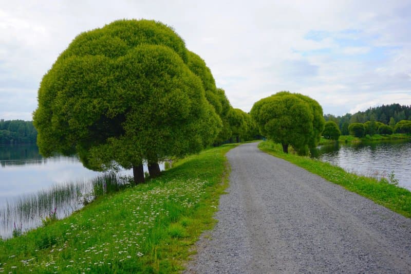 Mellonlahden luontolenkki