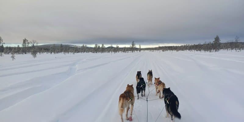 Nunavut Nordic Tales