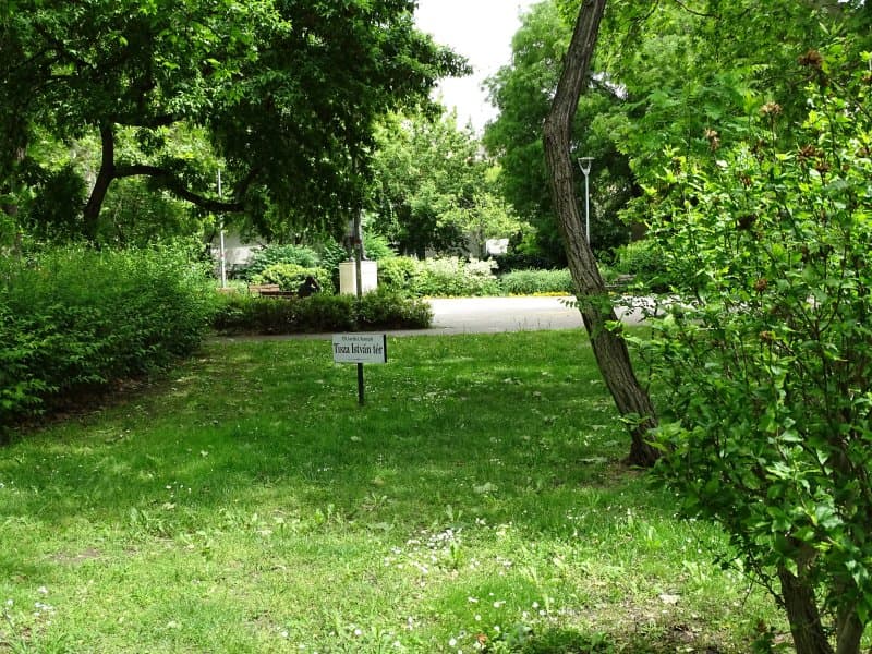 Tisza Istvan Square