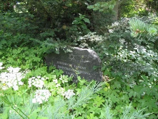 Old Jewish Cemetery Drmoul