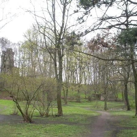 Aldara Parks