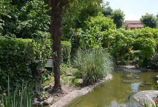 Il Giardino Della Casa Selvatica