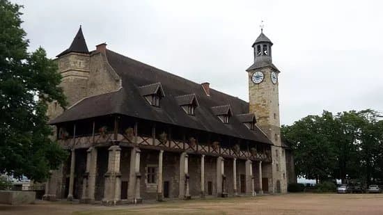 Chateau des Ducs de Bourbon