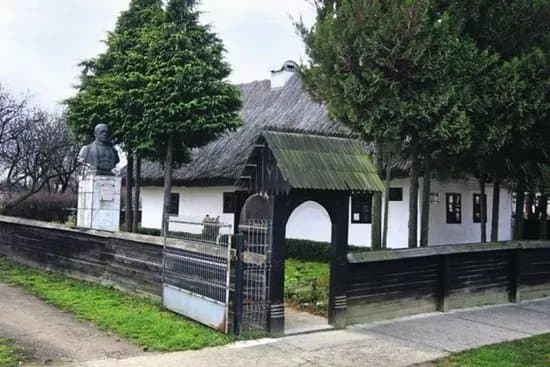 Memorial House of Vasile Lucaciu