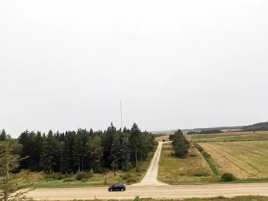 Osterild Klitplantage