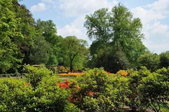 Park Angerenstein