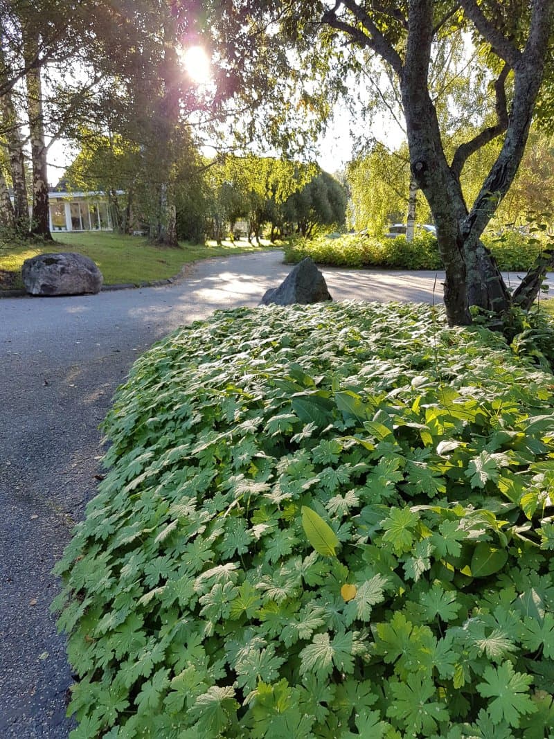 Mjösunds Begravningsplats