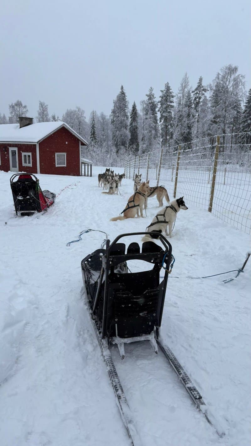 Trott Husky