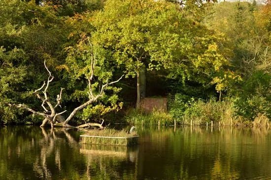 Leasowes Park