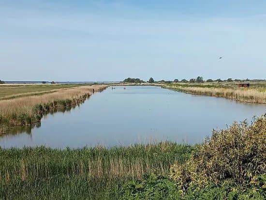 Korendijkse Slikken