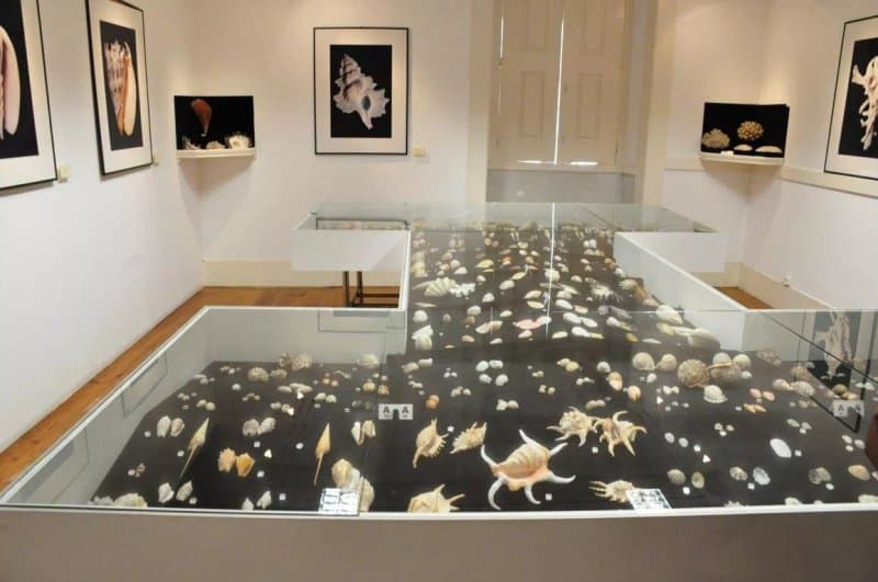 Museum Jose Luciano de Castro