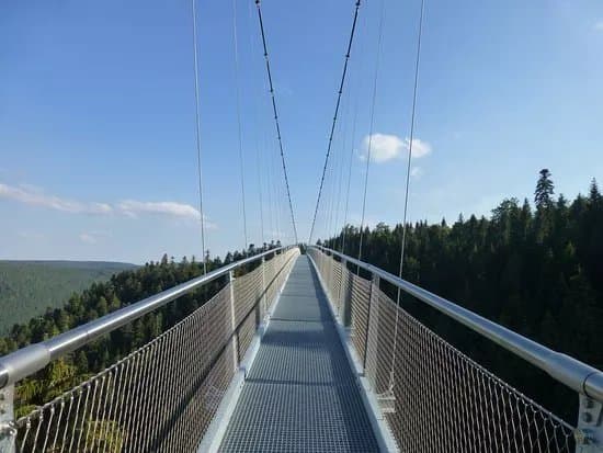 WildLine Hangebrucke