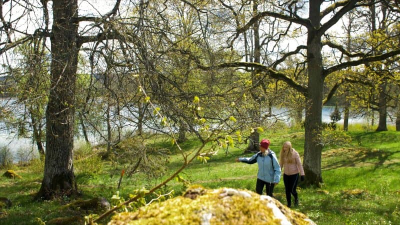 Eahagen - Oglunda Angar Naturreservat