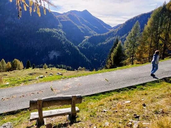 Golene Della Valle Maggia